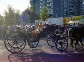 Klicke f�r Voll Darstellung