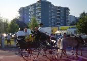 Klicke f�r Voll Darstellung